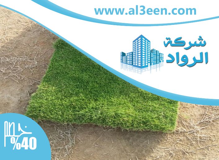 توريد وتركيب عشب طبيعى الشارقة